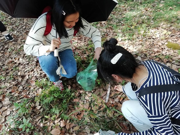 bv伟德国际体育官方网站