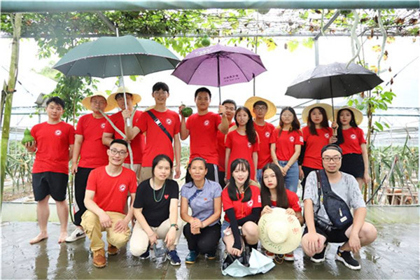 bv伟德国际体育官方网站