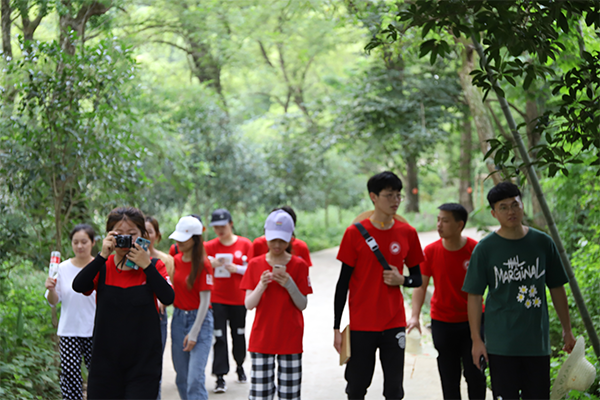 bv伟德国际体育官方网站