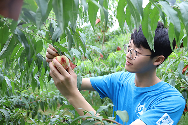 bv伟德国际体育官方网站