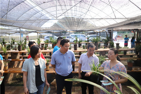 bv伟德国际体育官方网站