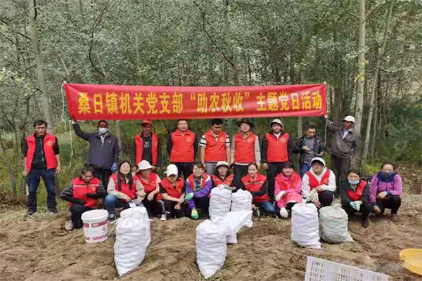 bv伟德国际体育官方网站