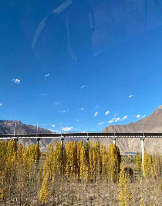 bv伟德国际体育官方网站