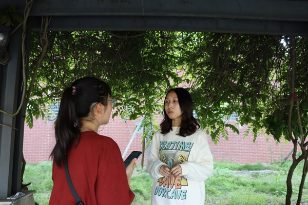 bv伟德国际体育官方网站