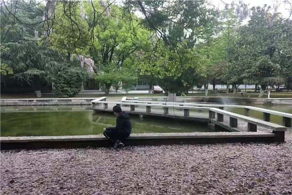 bv伟德国际体育官方网站