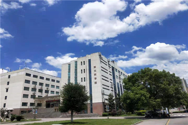 bv伟德国际体育官方网站