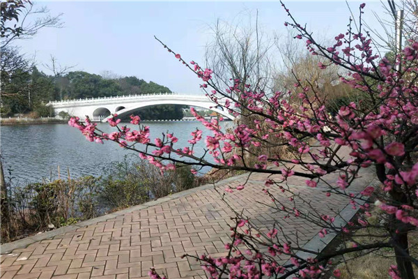 bv伟德国际体育官方网站