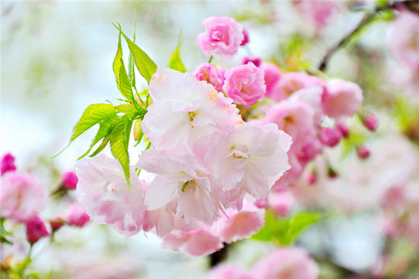 bv伟德国际体育官方网站