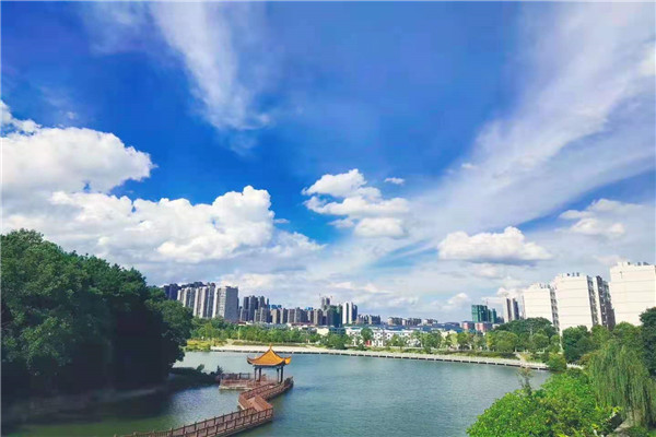 bv伟德国际体育官方网站