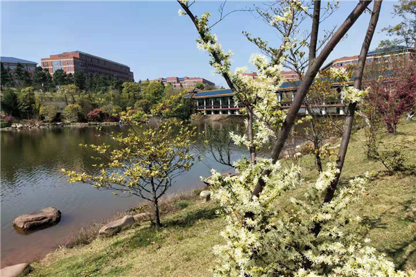 bv伟德国际体育官方网站