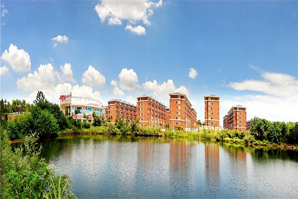 bv伟德国际体育官方网站