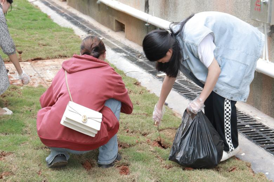 bv伟德国际体育官方网站