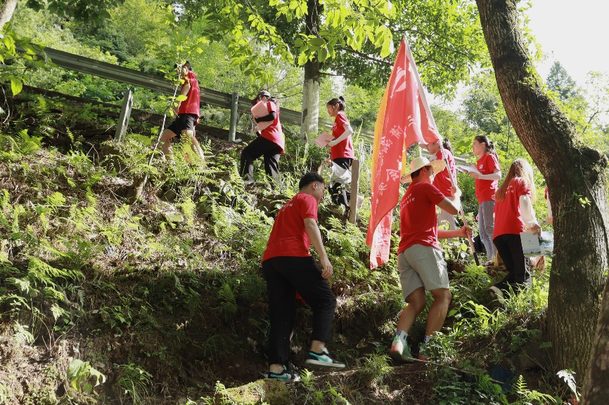 bv伟德国际体育官方网站