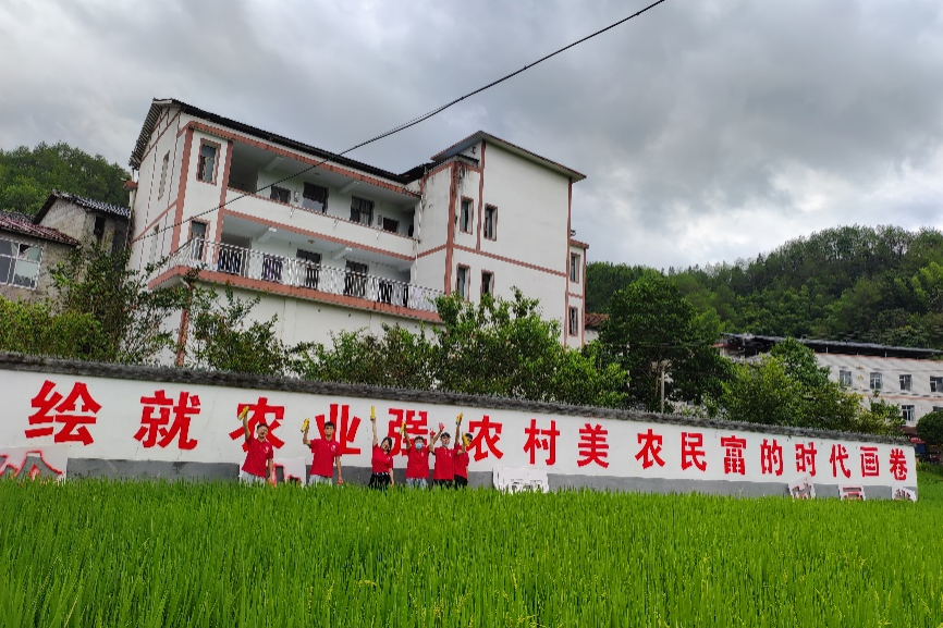 bv伟德国际体育官方网站