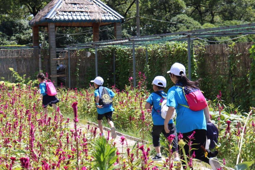 bv伟德国际体育官方网站