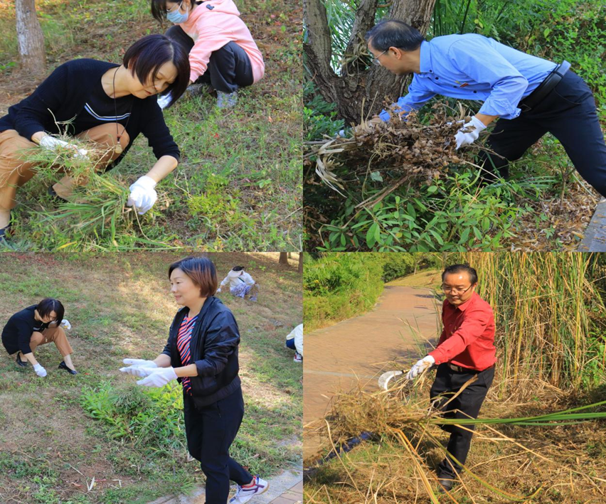 bv伟德国际体育官方网站