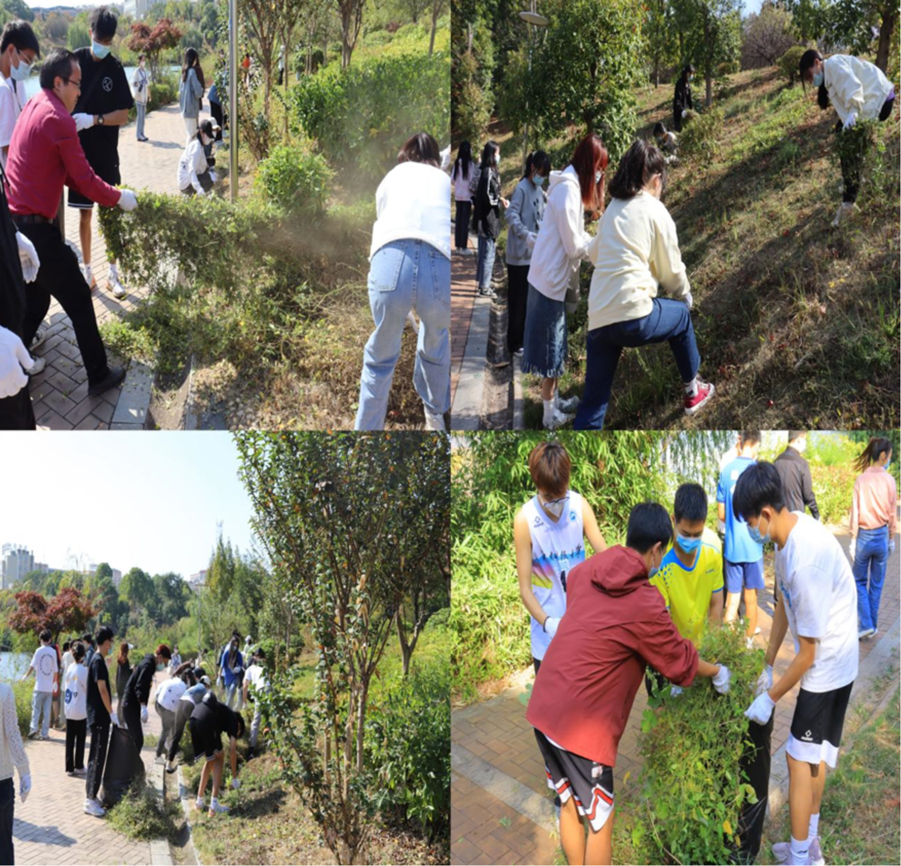 bv伟德国际体育官方网站