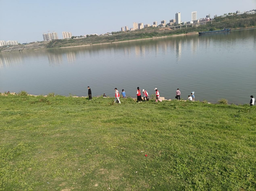 bv伟德国际体育官方网站