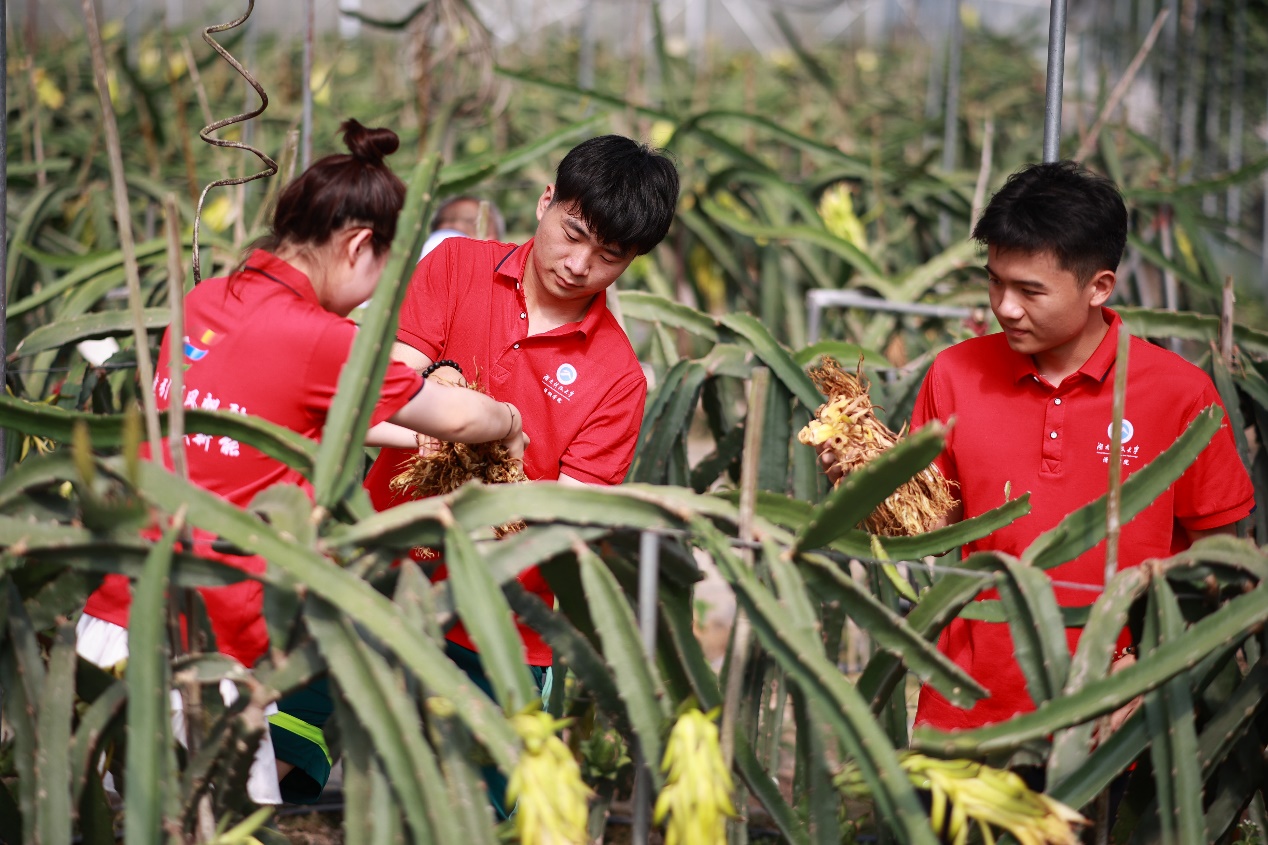bv伟德国际体育官方网站