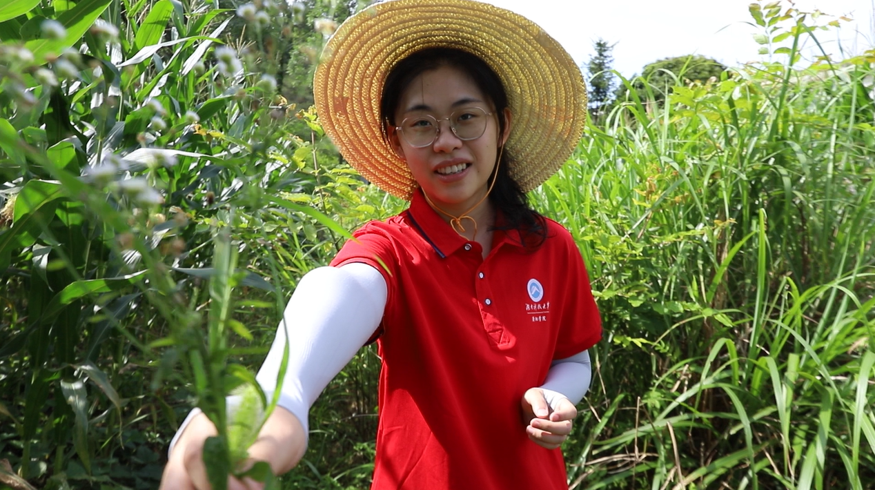 bv伟德国际体育官方网站