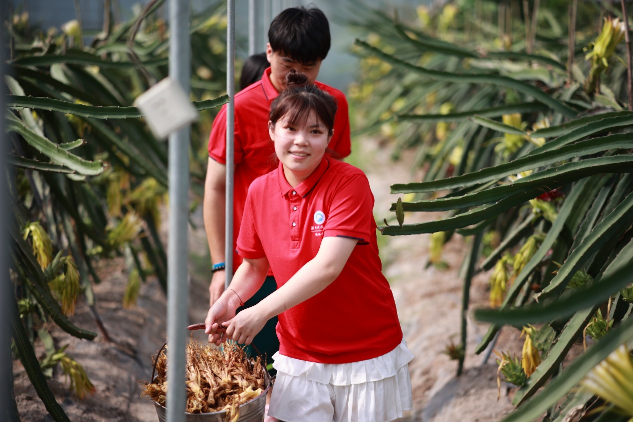 bv伟德国际体育官方网站
