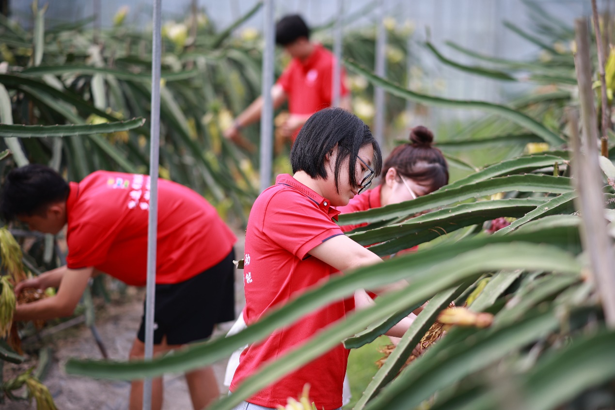 bv伟德国际体育官方网站