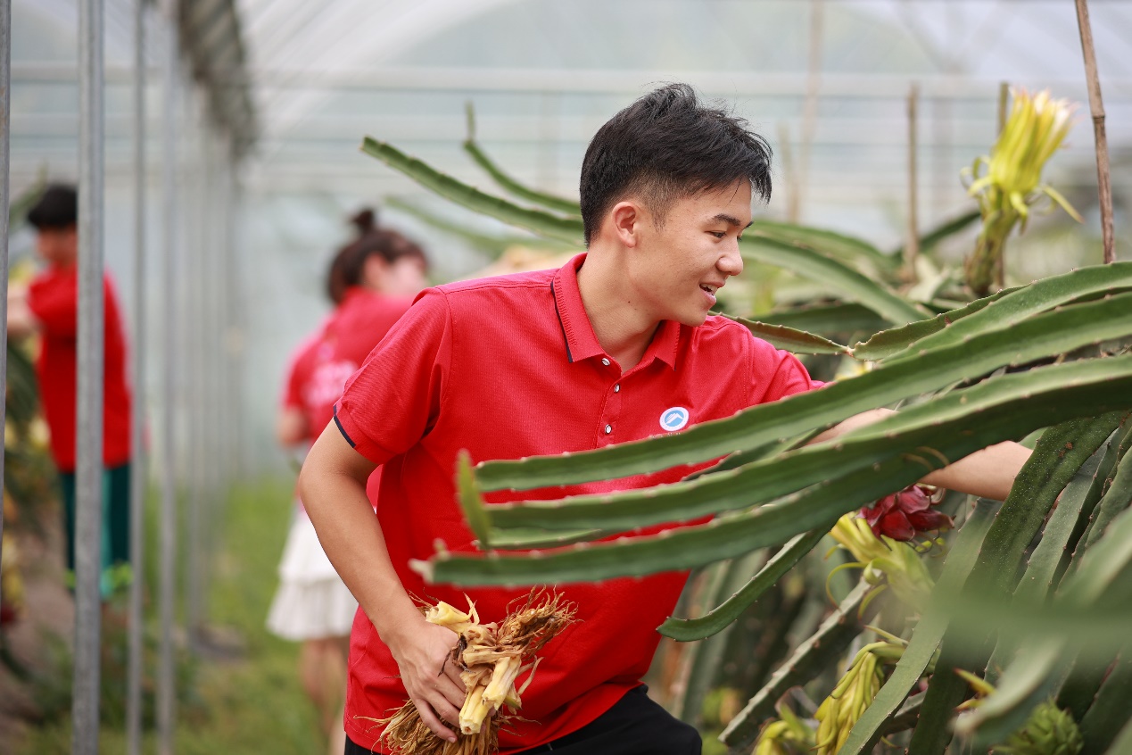 bv伟德国际体育官方网站