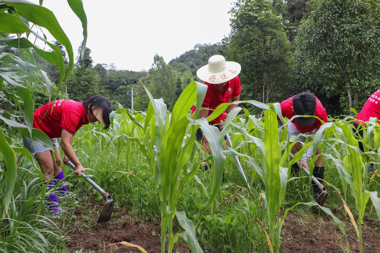 bv伟德国际体育官方网站