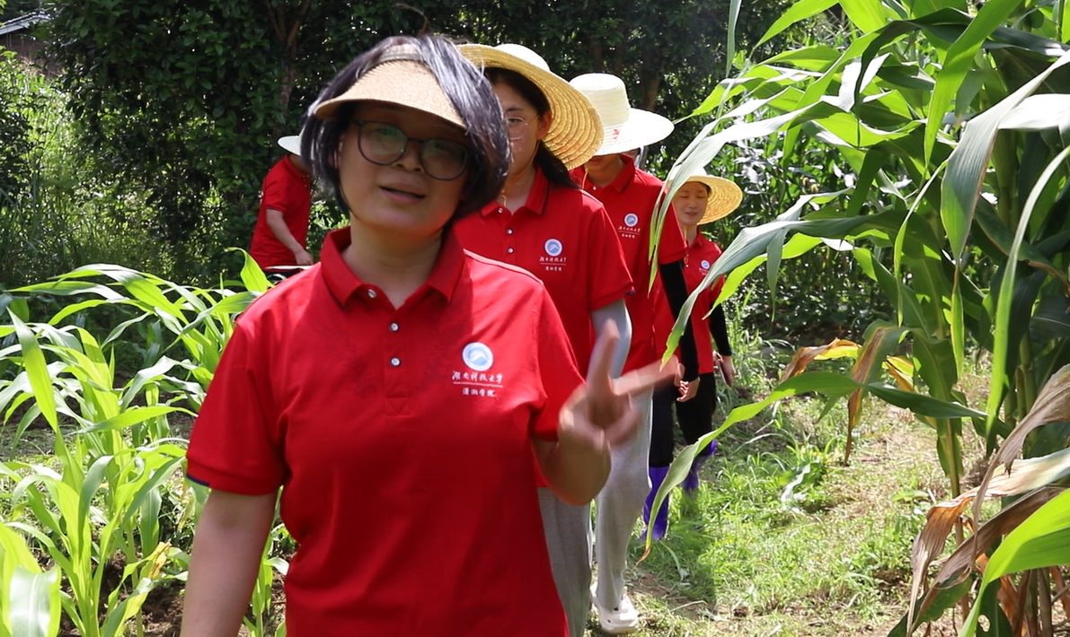 bv伟德国际体育官方网站