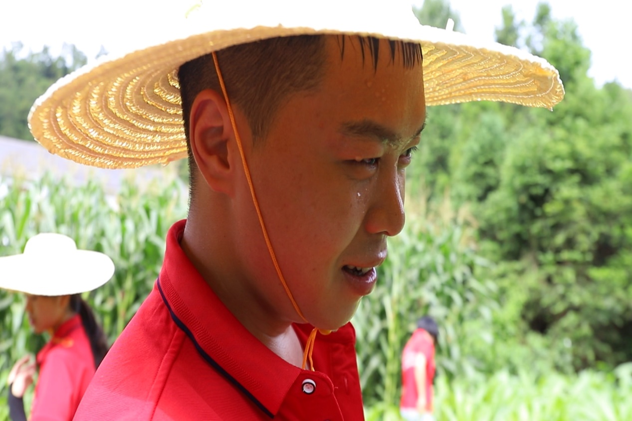 bv伟德国际体育官方网站