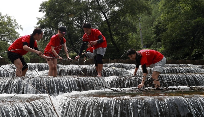 bv伟德国际体育官方网站