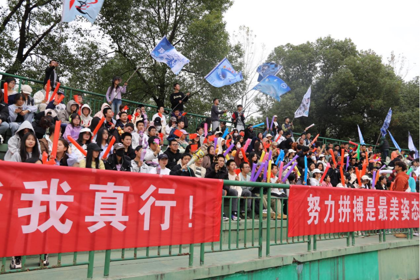 bv伟德国际体育官方网站