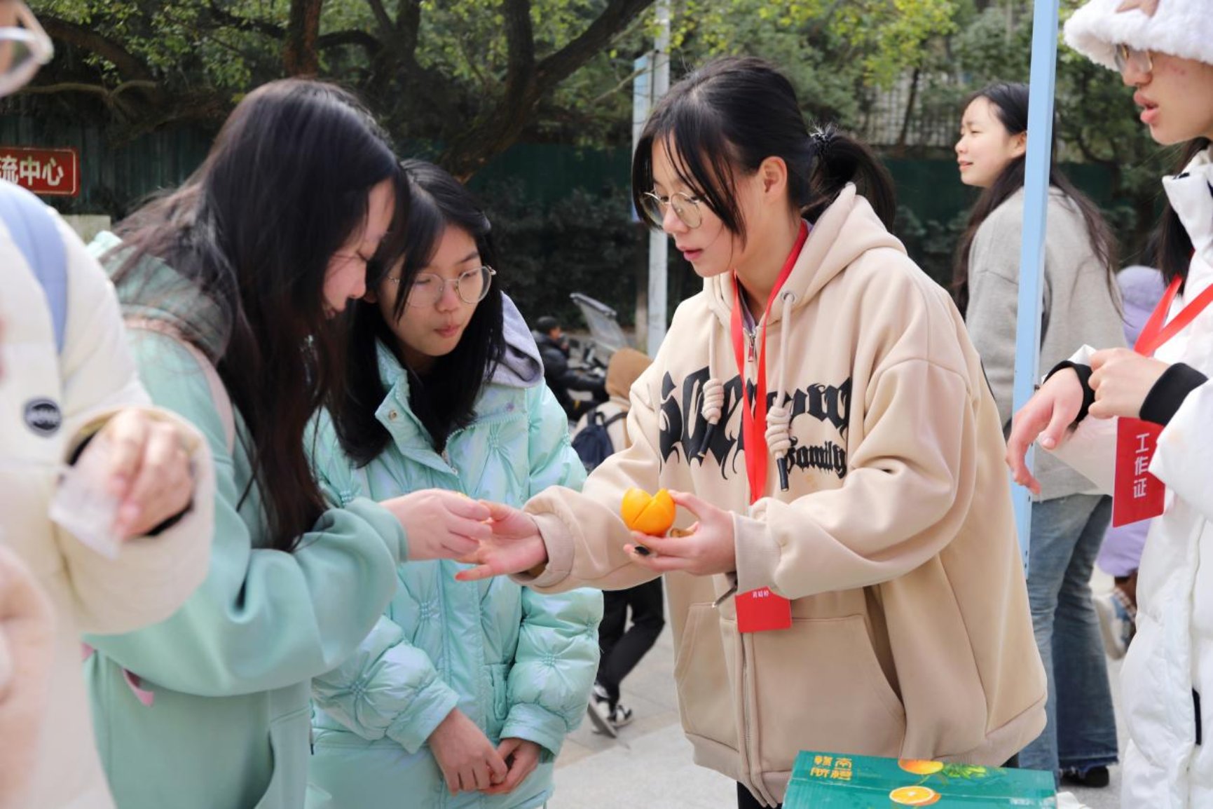 bv伟德国际体育官方网站