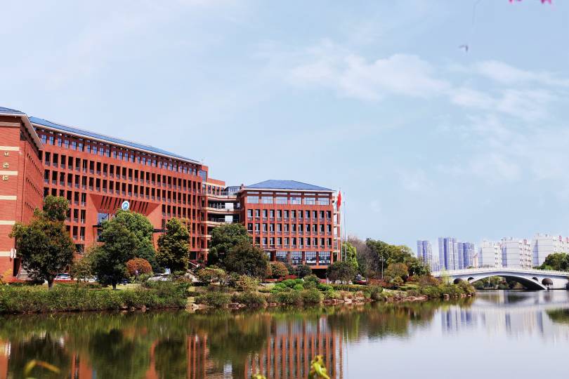 bv伟德国际体育官方网站