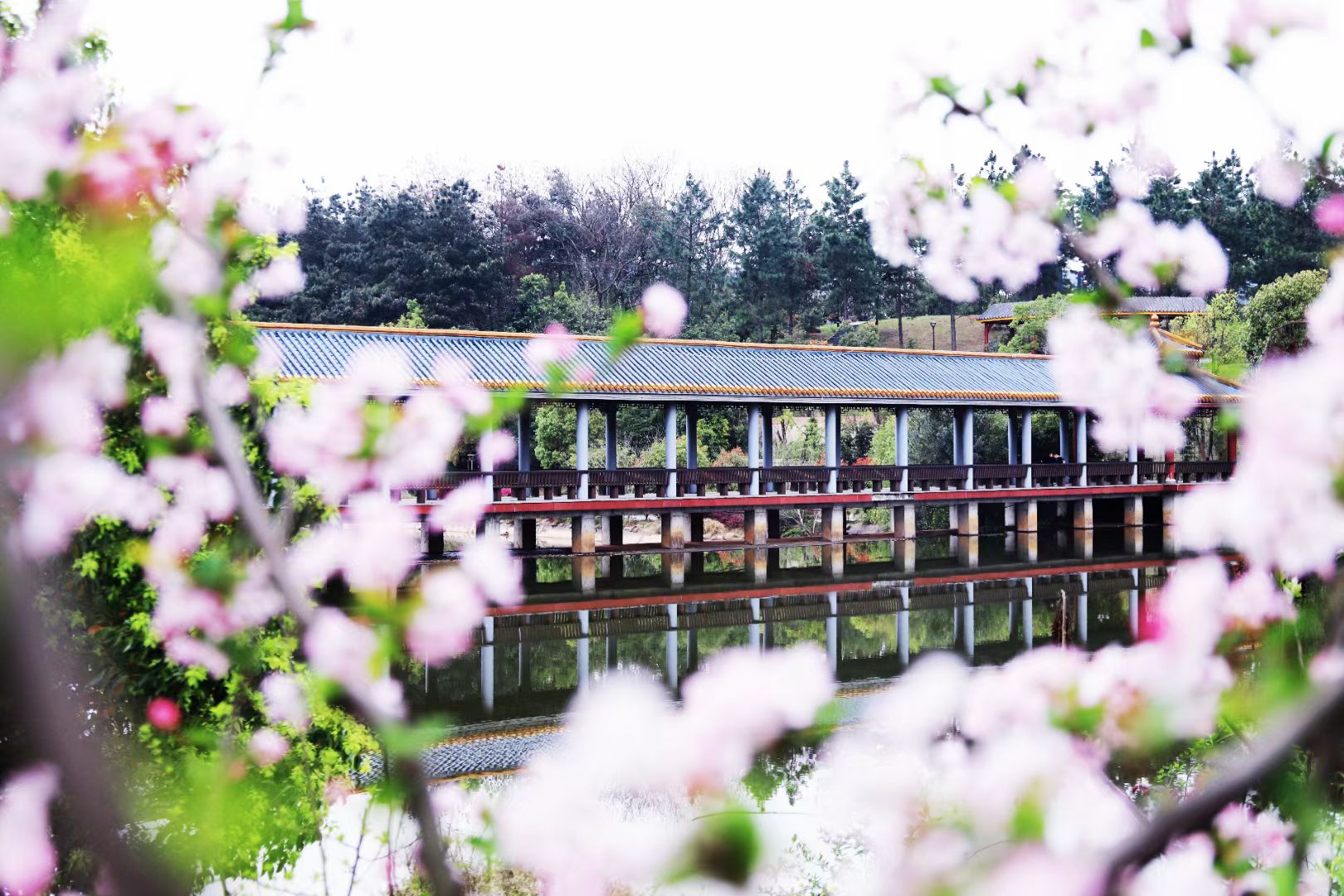 bv伟德国际体育官方网站