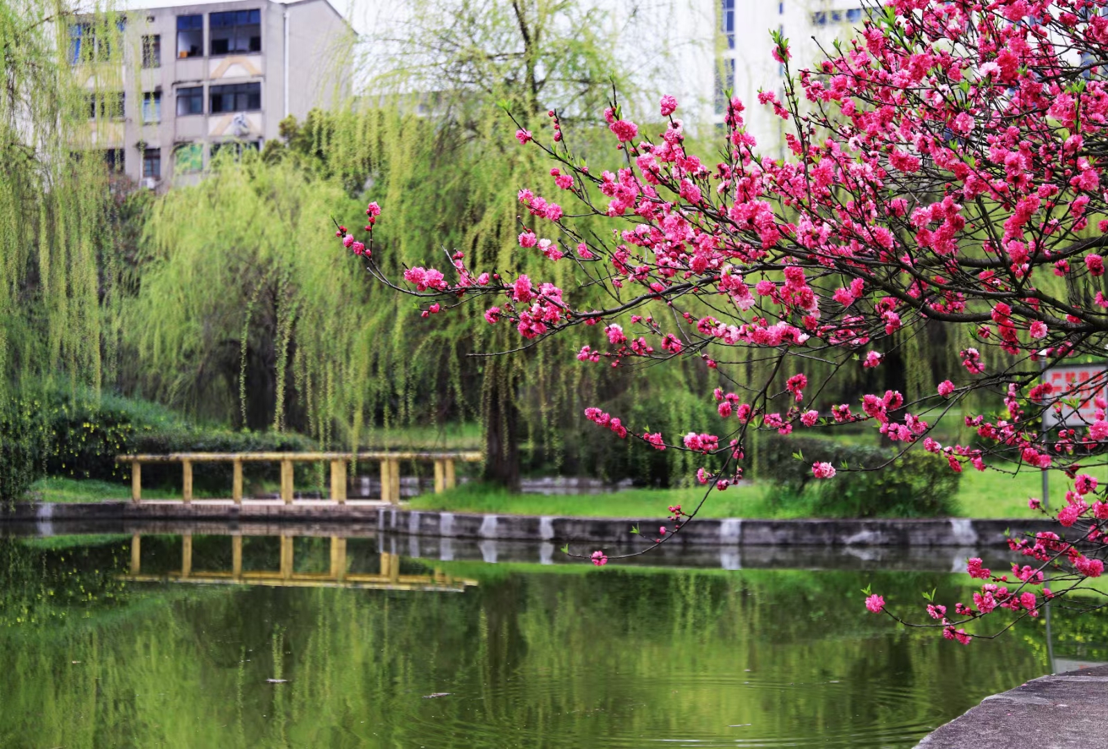 bv伟德国际体育官方网站