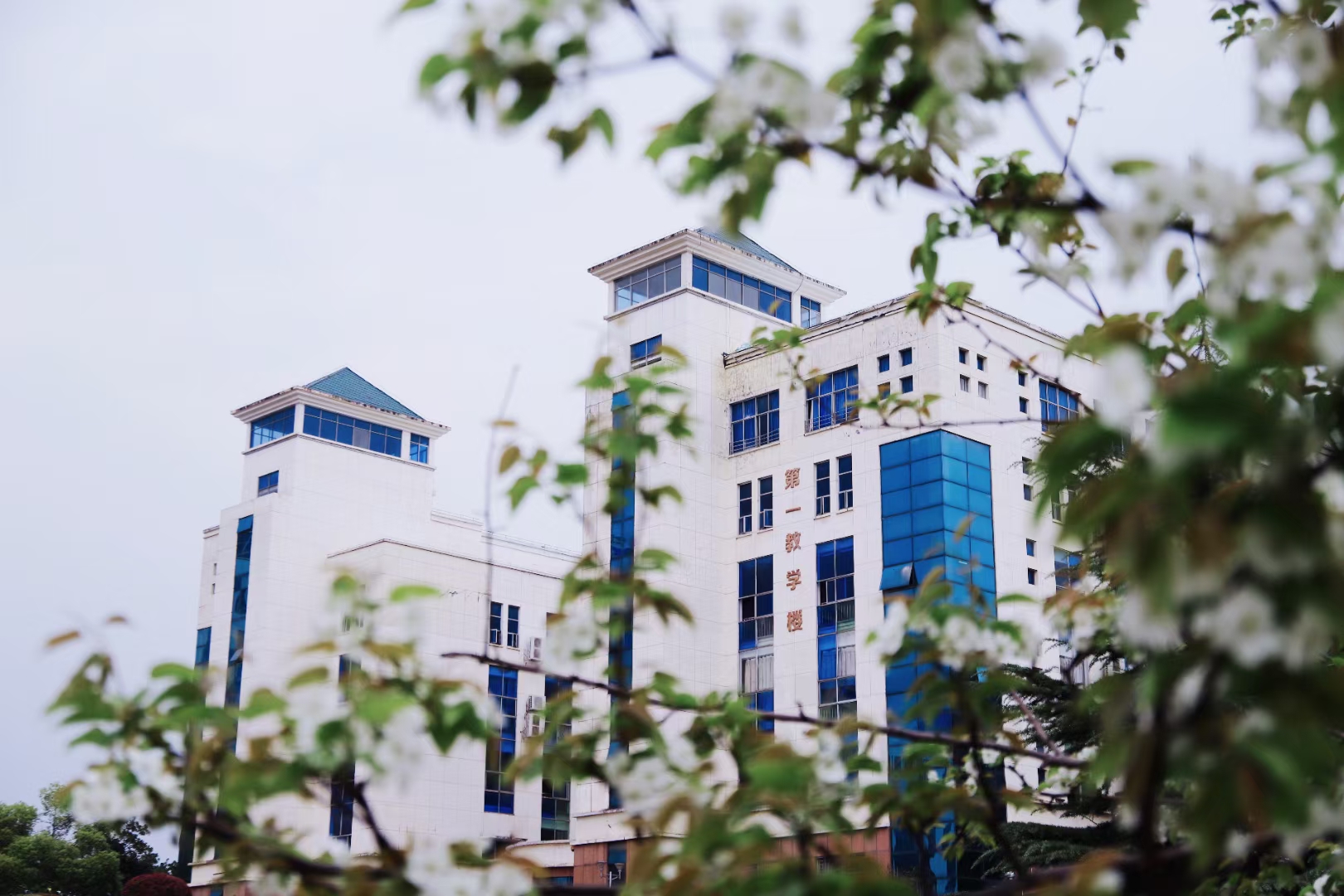 bv伟德国际体育官方网站