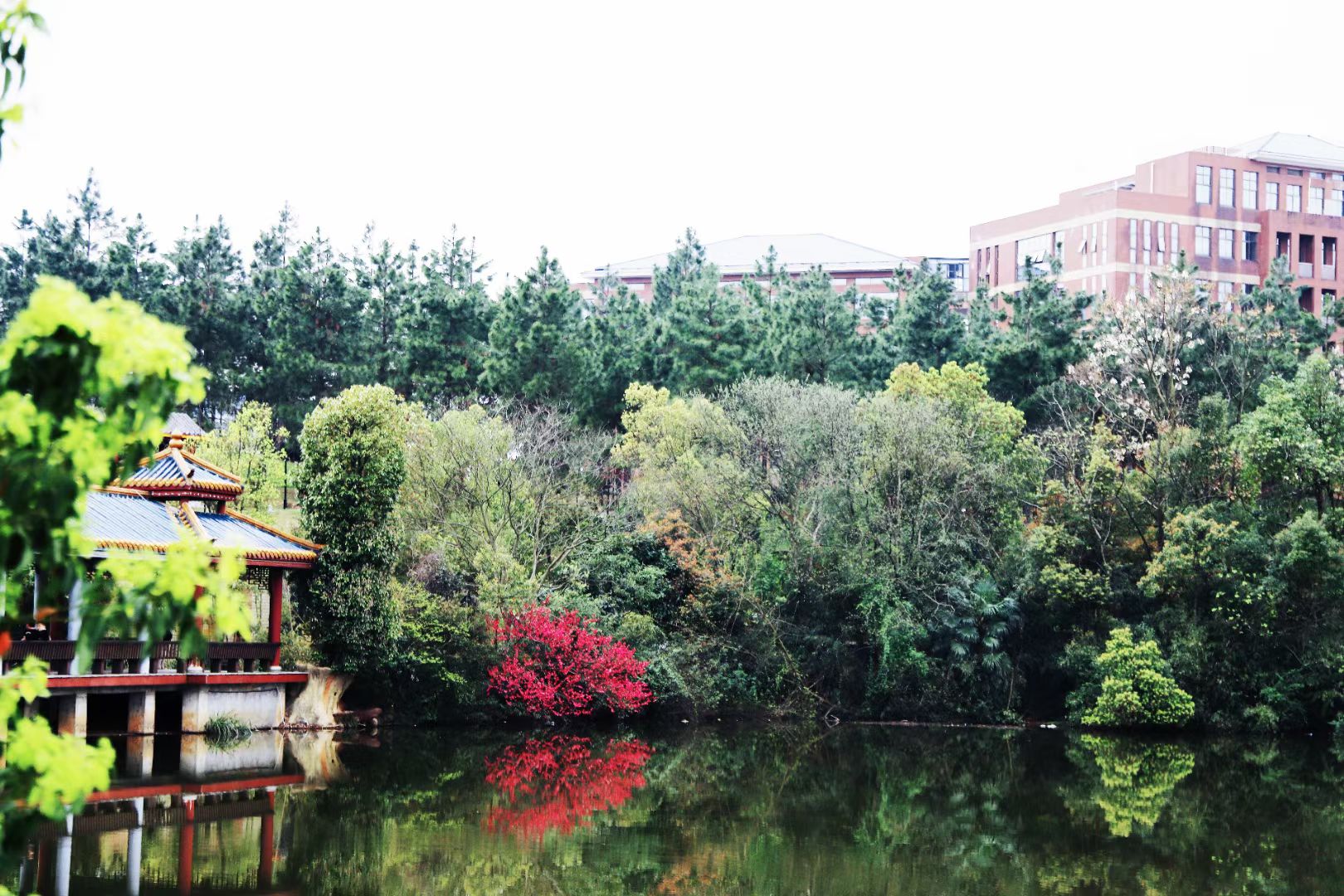 bv伟德国际体育官方网站