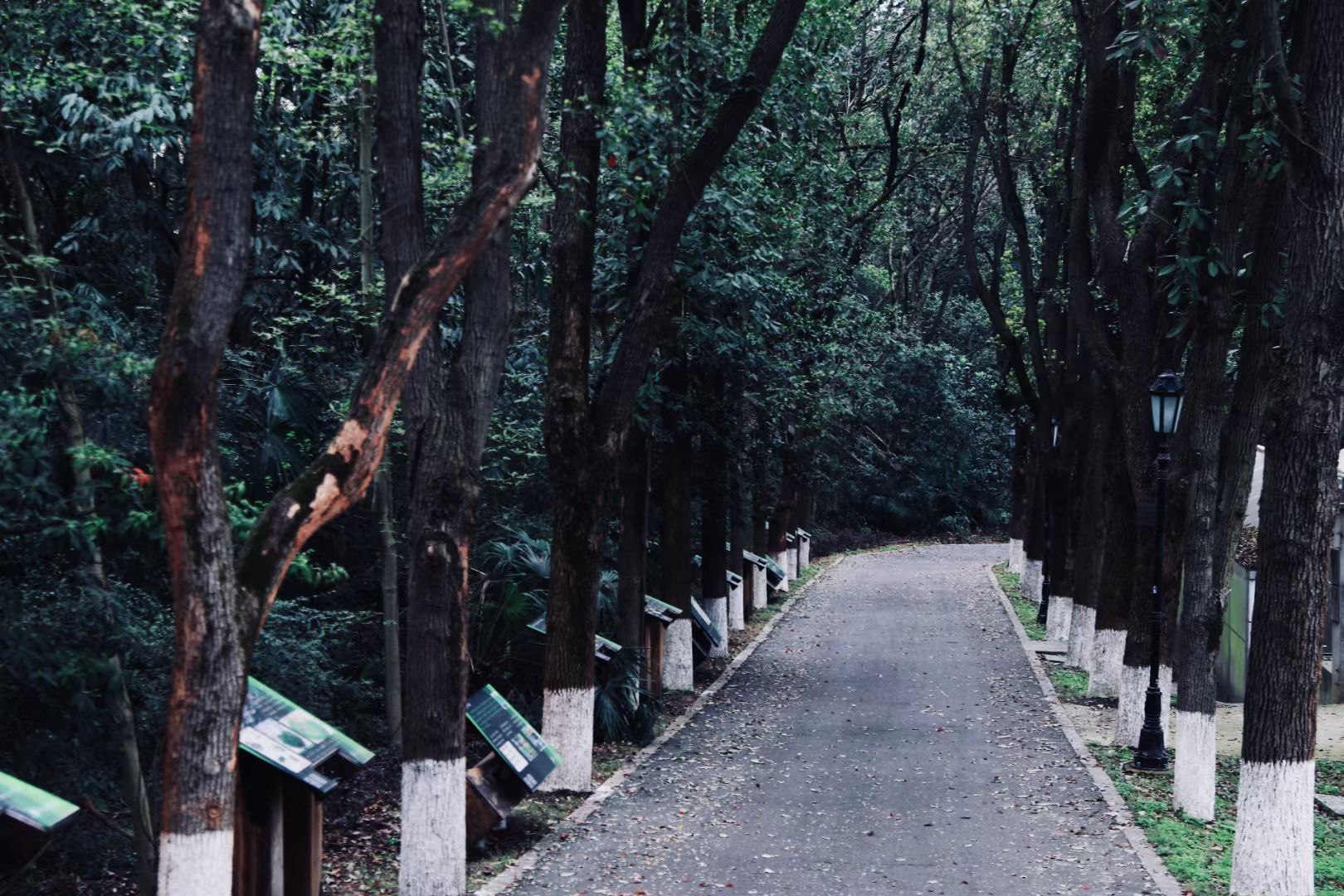 bv伟德国际体育官方网站