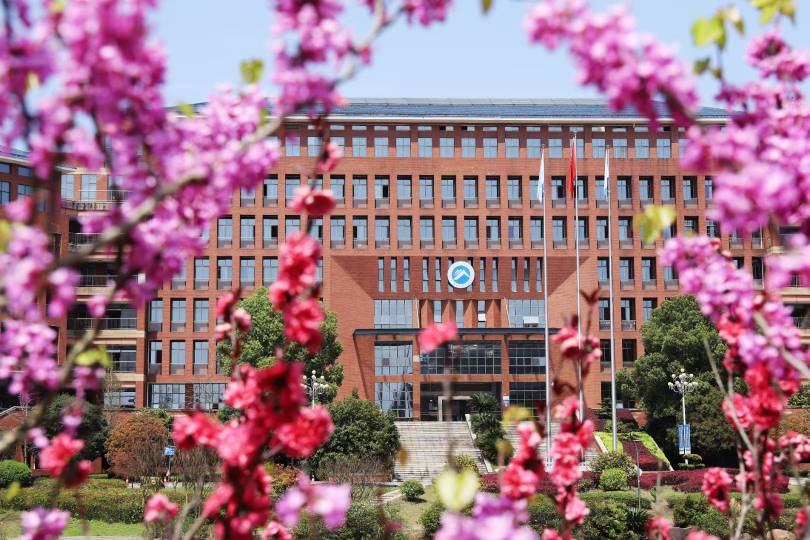 bv伟德国际体育官方网站