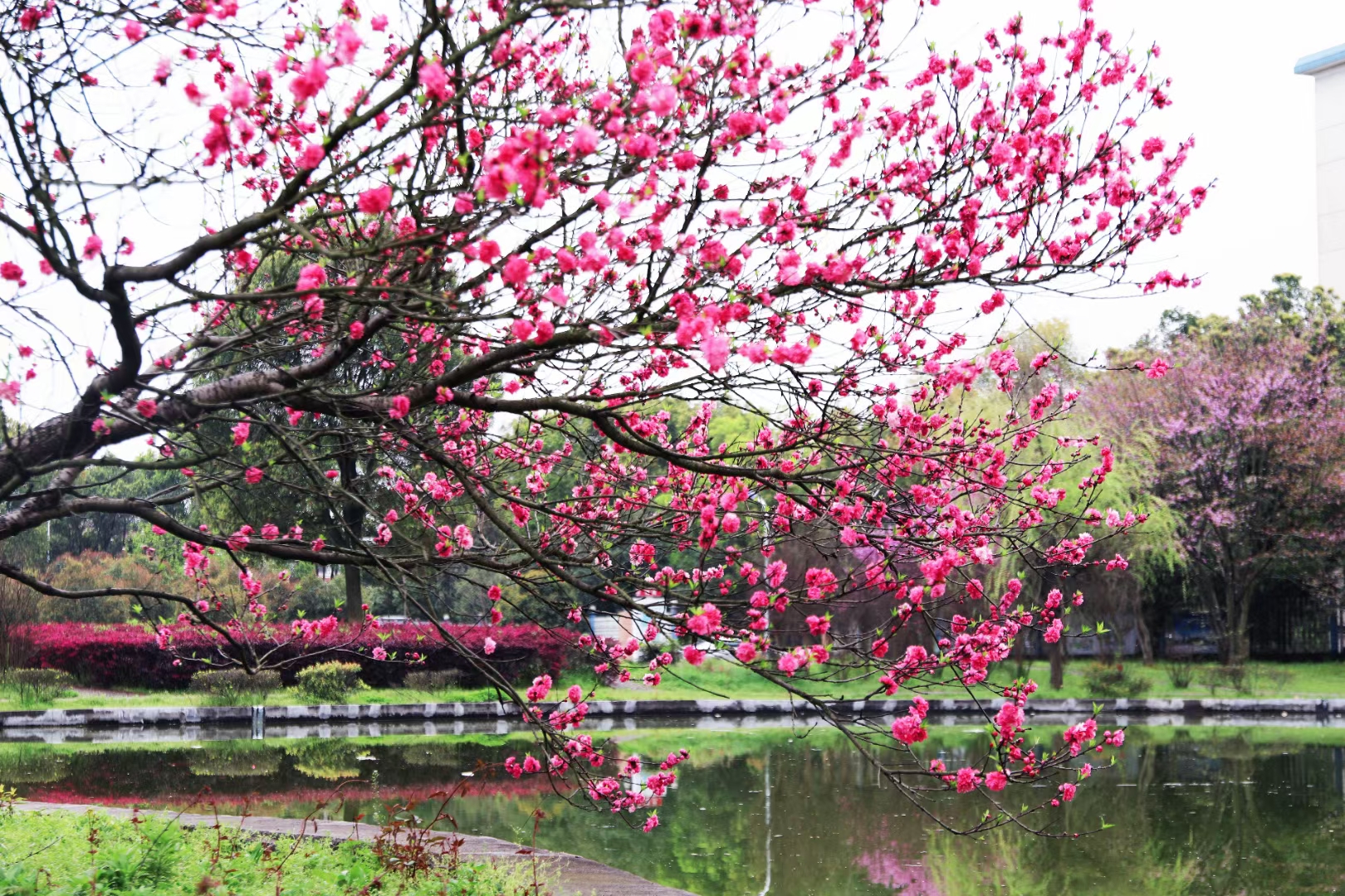 bv伟德国际体育官方网站