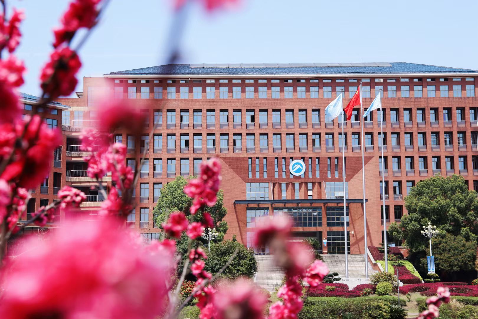 bv伟德国际体育官方网站