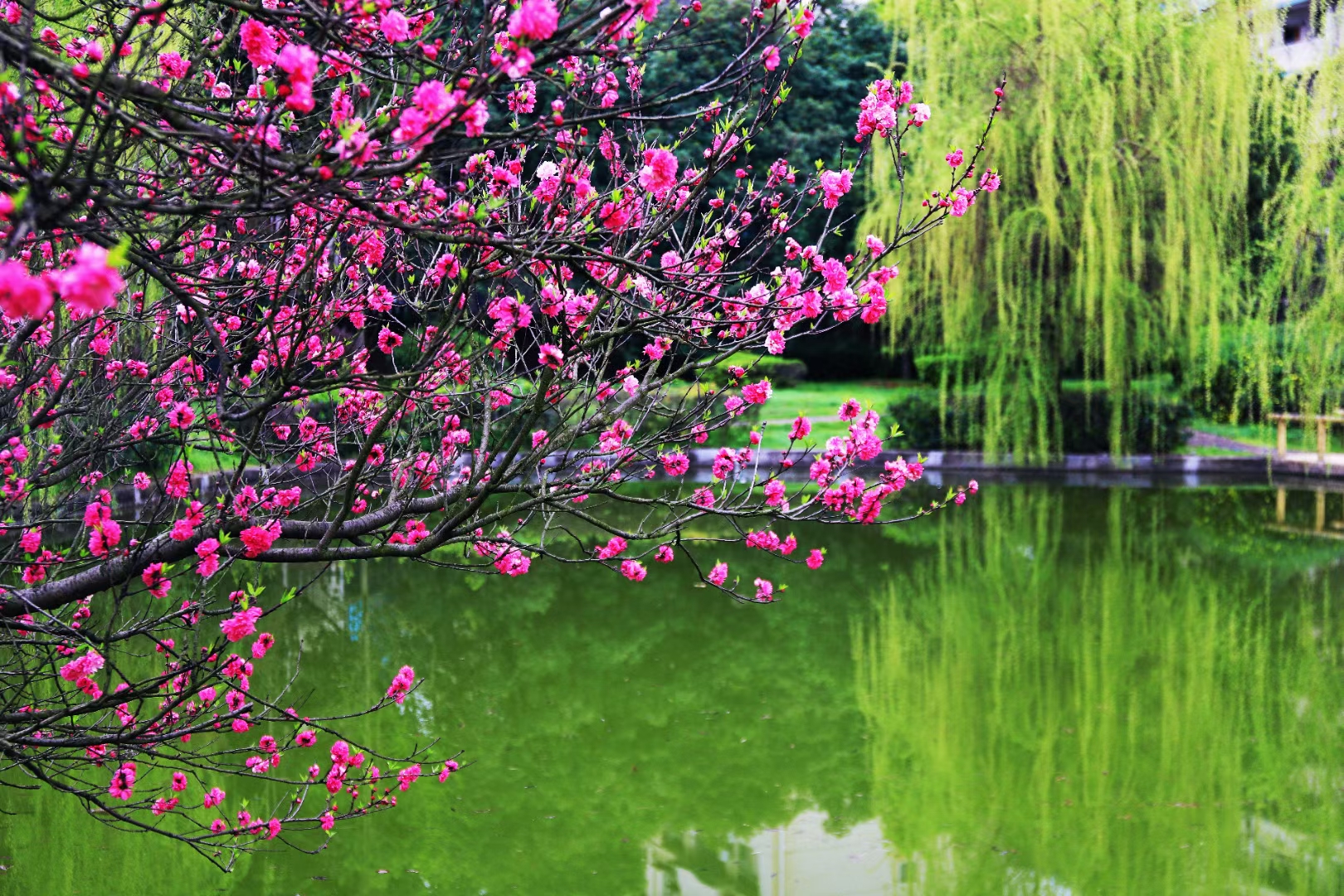 bv伟德国际体育官方网站