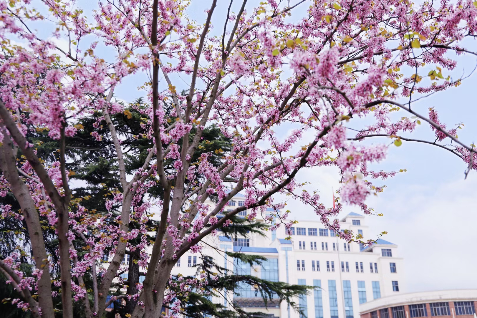 bv伟德国际体育官方网站