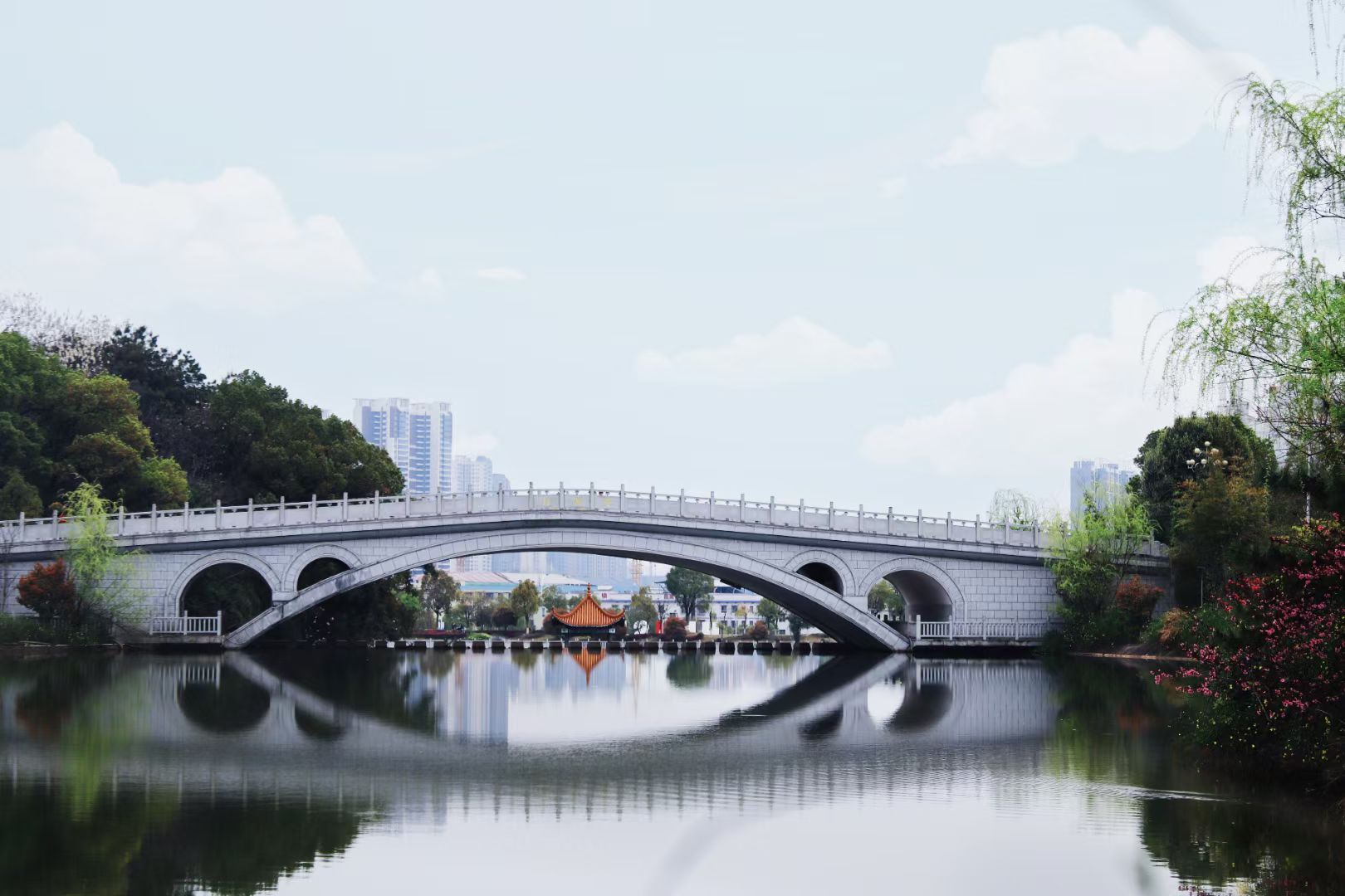 bv伟德国际体育官方网站