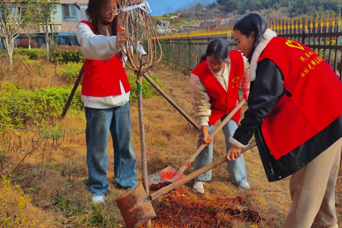 bv伟德国际体育官方网站
