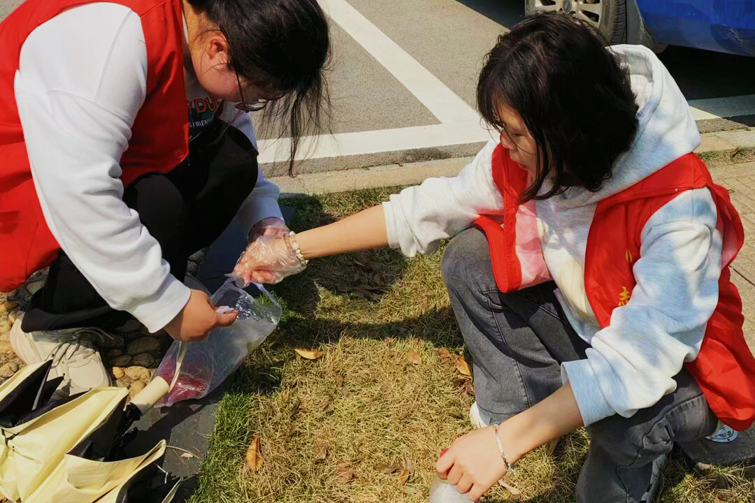 bv伟德国际体育官方网站