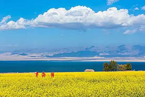 f3c13f16915649ceb1e5e95627bfed71.jpg bv伟德国际体育官方网站