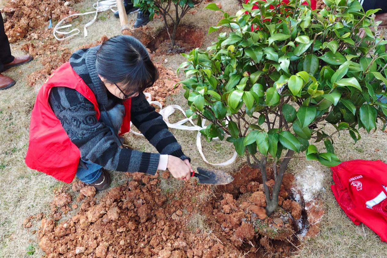 bv伟德国际体育官方网站