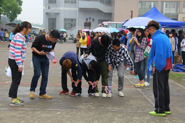 bv伟德国际体育官方网站